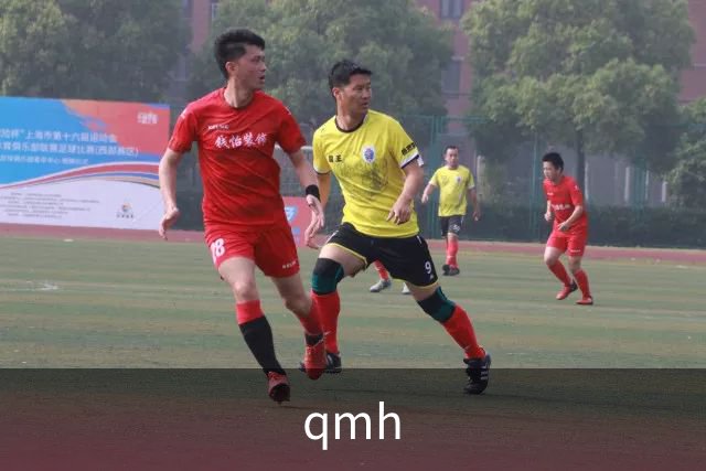 qmh公司简介
